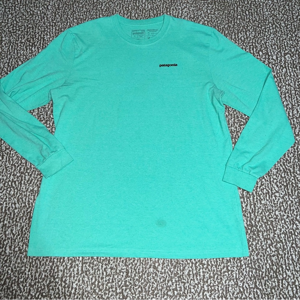 Patagonia long sleeve - mens large teal